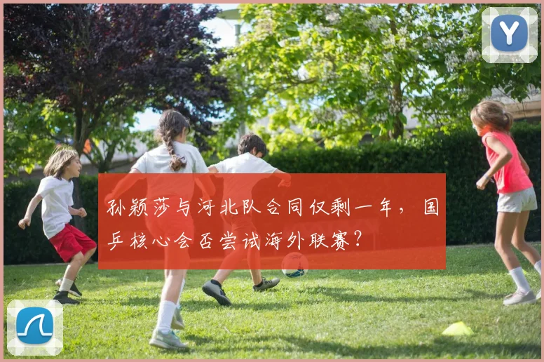 孙颖莎与河北队合同仅剩一年，国乒核心会否尝试海外联赛？